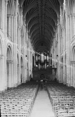 CATHEDRAL INTERIOR NAVE